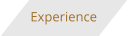 Experience